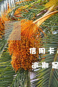 信用卡逾期是失信人员还是黑名单-信用卡逾期是失信人员还是黑名单呢