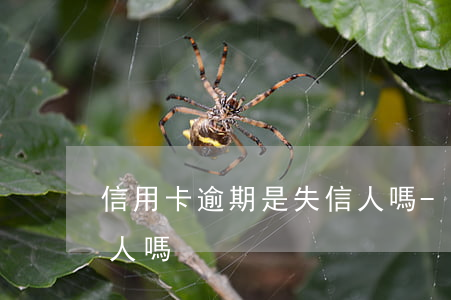 信用卡逾期是失信人嗎-信用卡逾期是失信人嗎