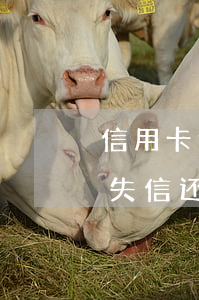 信用卡逾期是失信还是黑名单(信用卡逾期是失信还是黑名单)