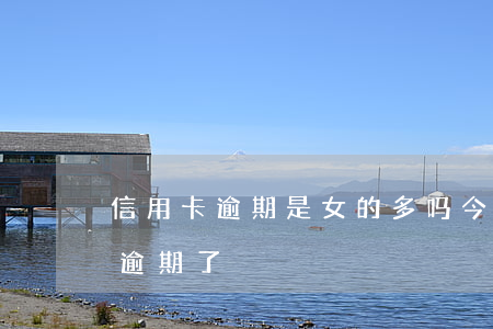 信用卡逾期是女的多吗(今年有多少人信用卡逾期了)