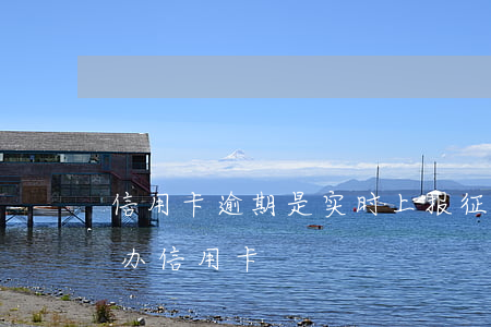 信用卡逾期是实时上报征信吗(征信当前逾期办信用卡)