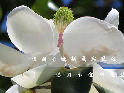 信用卡逾期是客服催嗎 怎么樣應(yīng)對信用卡逾期催收電話?