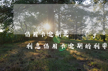 信用卡逾期是幾個(gè)點(diǎn)利息(信用卡逾期的利率多少)