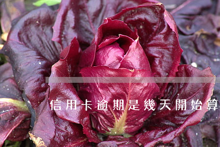 信用卡逾期是幾天開始算呢