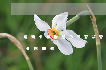 信用卡逾期是归刑警队管吗(刑侦大队管信用卡逾期吗)