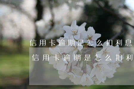 信用卡逾期是怎么扣利息的錢(qián)（信用卡逾期是怎么扣利息的）