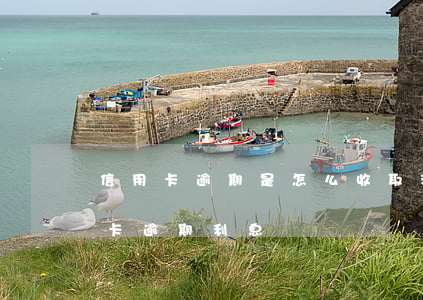 信用卡逾期是怎么收取利息的-各银行信用卡逾期利息