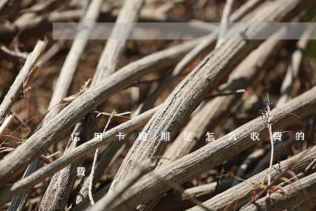 信用卡逾期是怎么收費的(銀行卡逾期怎么收費)