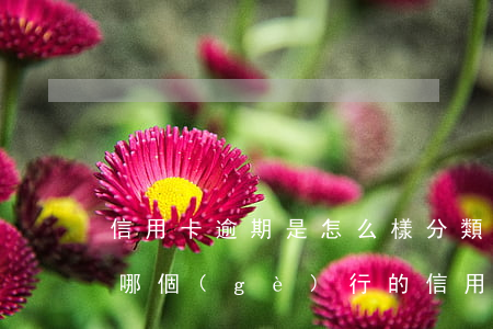 信用卡逾期是怎么樣分類的(有逾期的情況下哪個(gè)行的信用卡比較好辦理)