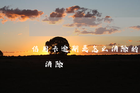 信用卡逾期是怎么消除的(信用卡逾期可以申請消除嗎)