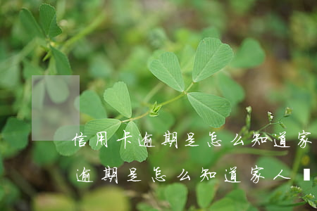 信用卡逾期是怎么知道家人電話的-信用卡逾期是怎么知道家人電話的呢