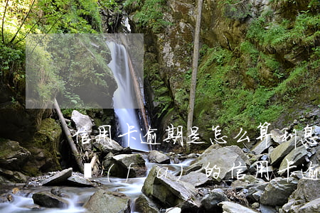 信用卡逾期是怎么算利息的浦發(fā)(浦發(fā)的信用卡逾期之后還清了,卡還能用嗎)