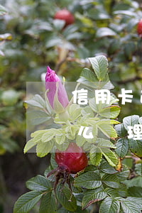 信用卡逾期是怎么處理的-信用卡逾期是怎么處理的呢