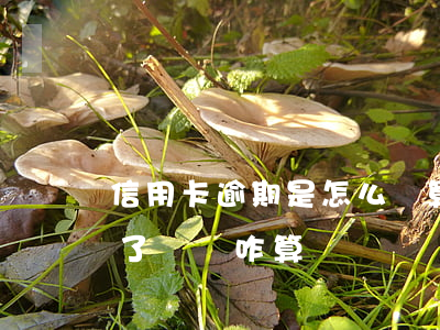 信用卡逾期是怎么計算(信用卡5000逾期了違約咋算)
