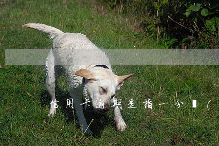 信用卡逾期是指一分錢(qián)不還嗎