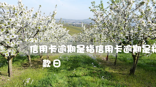 信用卡逾期是指(信用卡逾期是指賬單日還是還款日)