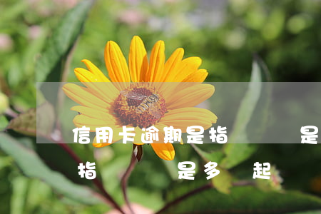 信用卡逾期是指單張還是多張(信用卡逾期是指單張還是多張起訴)