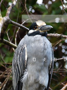 信用卡逾期是指賬單日后(逾期是按照賬單日還是還款日)