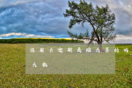 信用卡逾期是按天算的吗(信用卡逾期怎么算天数)