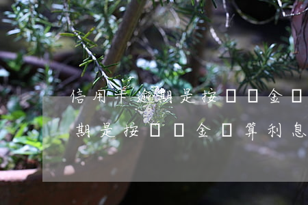信用卡逾期是按賬單金額算利息嗎(信用卡逾期是按賬單金額算利息嗎)