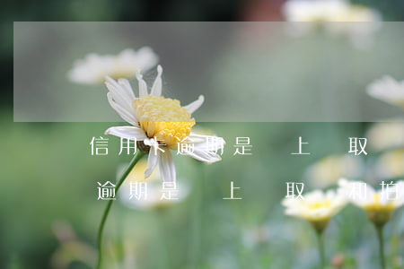 信用卡逾期是會上門取證和拍照嗎-信用卡逾期是會上門取證和拍照嗎是真的嗎
