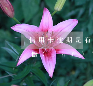 信用卡逾期是有錢就扣嗎(信用卡逾期扣除我儲(chǔ)蓄卡里的錢合法嗎)