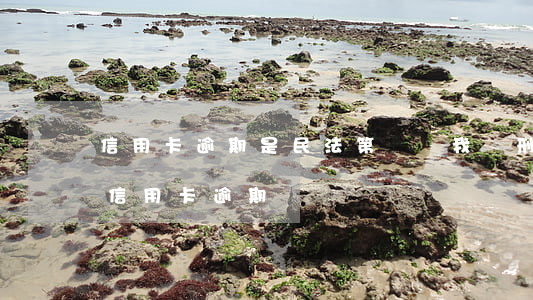 信用卡逾期是民法第幾條(我國刑法196條信用卡逾期)