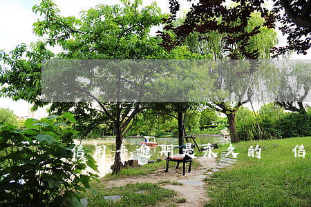 信用卡逾期是永久的嗎(信用卡逾期是永久的嗎嗎)