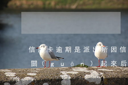 信用卡逾期是派出所(因信用卡逾期被派出所關(guān)起來后會怎么樣)