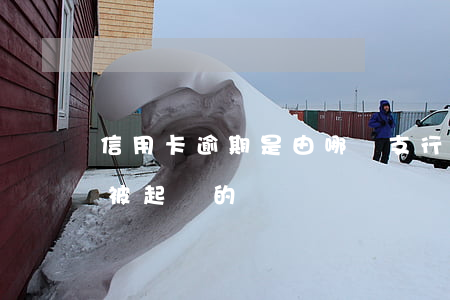 信用卡逾期是由哪個支行起訴(有信用卡逾期被起訴的嗎)