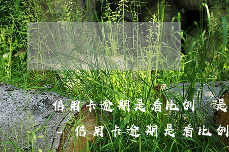 信用卡逾期是看比例還是看次數(shù)-信用卡逾期是看比例還是看次數(shù)的