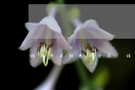 信用卡逾期是算全款(還信用卡怎么算逾期)
