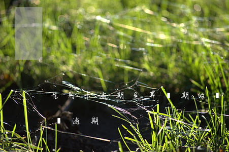 信用卡逾期是算當期的賬單嗎(信用卡2期賬單逾期)
