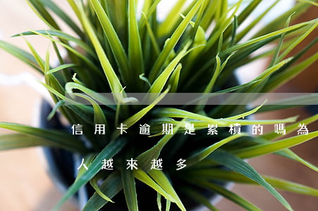 信用卡逾期是累積的嗎(為什么信用卡逾期的人越來越多)