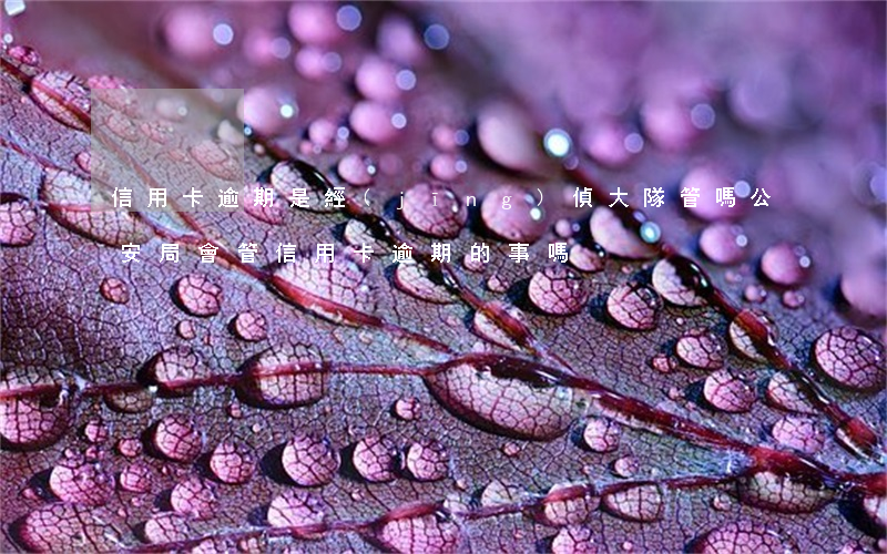 信用卡逾期是經(jīng)偵大隊管嗎(公安局會管信用卡逾期的事嗎)