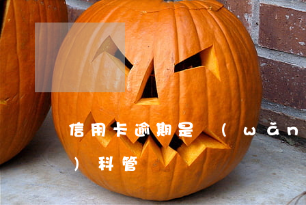 信用卡逾期是網(wǎng)監(jiān)科管嗎