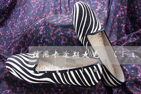 信用卡逾期是老賴(lài)-信用卡 老賴(lài)