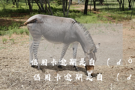 信用卡逾期是自動(dòng)拉黑名單嗎(信用卡逾期是自動(dòng)拉黑名單嗎怎么解除)