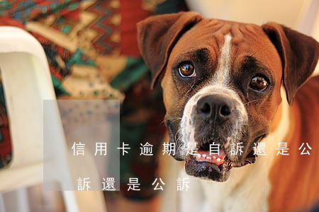 信用卡逾期是自訴還是公訴(信用卡逾期是自訴還是公訴)