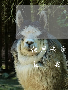 信用卡逾期是被起訴還是報案(信用卡逾期會被報案處理嗎)