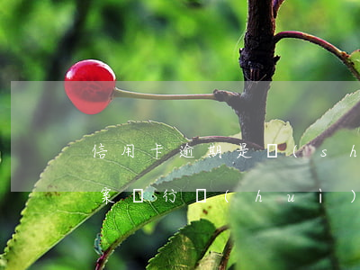 信用卡逾期是誰(shuí)報(bào)案(銀行會(huì)報(bào)案信用卡逾期)