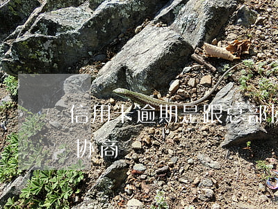信用卡逾期是跟总部协商吗(信用卡逾期找谁协商)