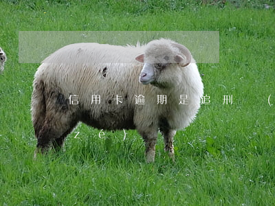 信用卡逾期是追刑責(zé)還是追民責(zé)
