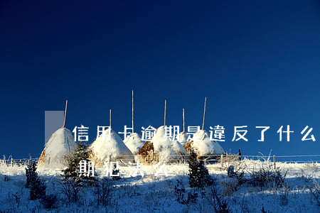 信用卡逾期是違反了什么法(很多張信用卡逾期犯法么)