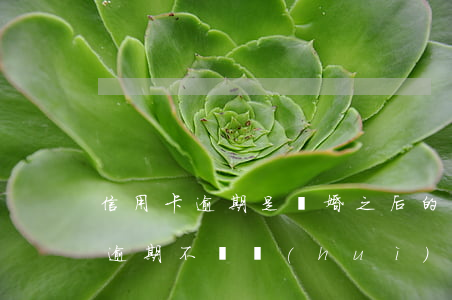 信用卡逾期是離婚之后的(離婚后前夫信用卡逾期不還會(huì)不會(huì)追究我)