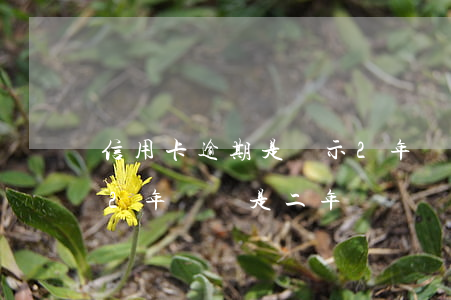 信用卡逾期是顯示2年嗎(信用卡逾期是顯示2年嗎還是二年)
