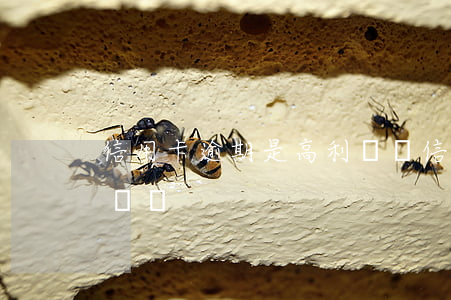 信用卡逾期是高利貸嗎(信用卡逾期是高利貸嗎嗎)