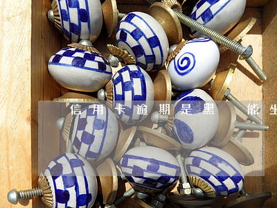信用卡逾期是黑戶能坐高鐵嗎