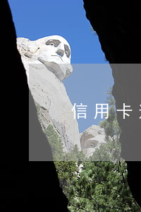 信用卡逾期显示N2(信用卡逾期显示销户)