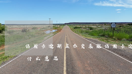 信用卡逾期显示变呆账 信用卡逾期变呆账是什么意思
